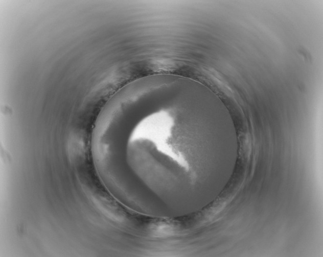 X0000091350655200708101531