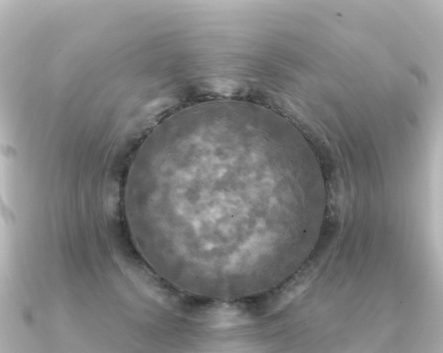 X0000091350656200708101531