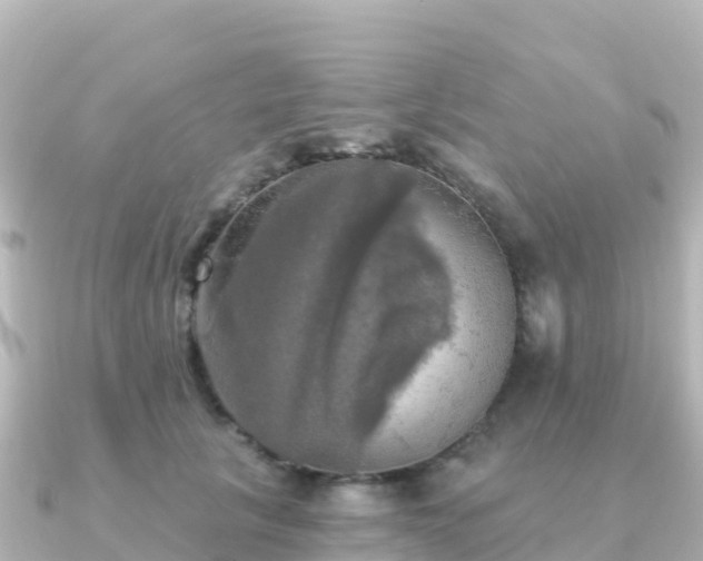 X0000091350657200708101531