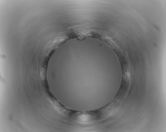 X0000091350658200708101531
