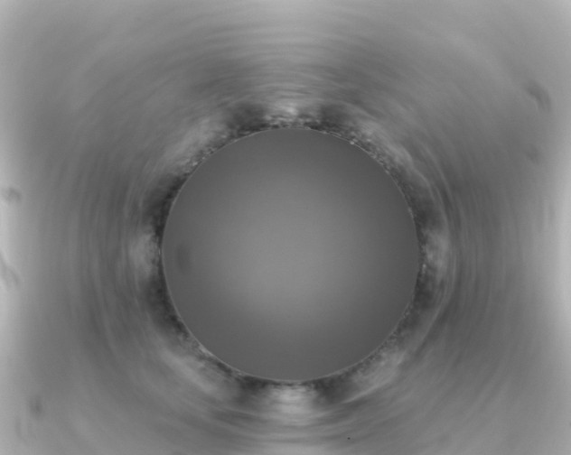 X0000091350659200708101531