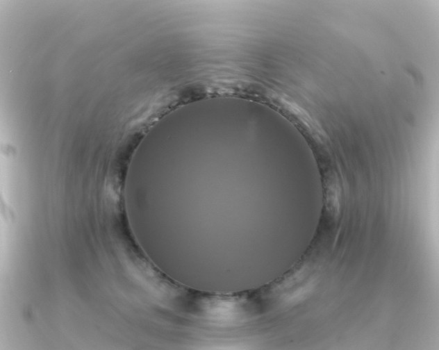 X0000091350661200708101531