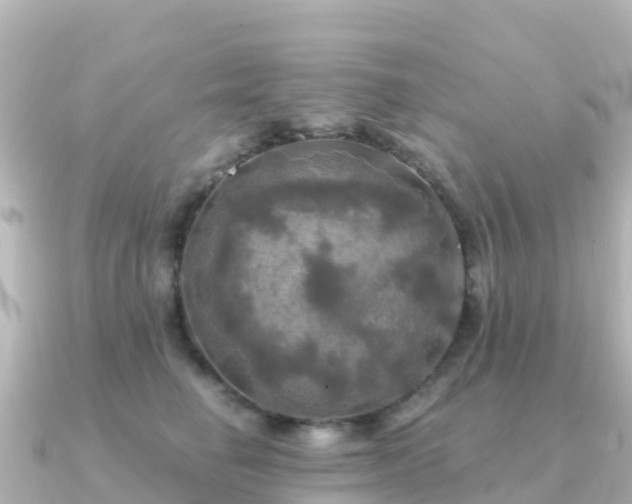X0000091350662200708101531
