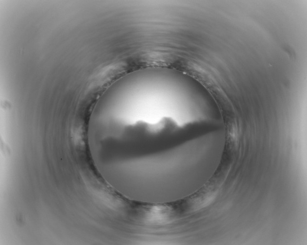 X0000091350663200708101531