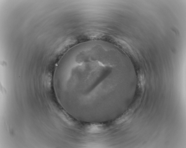 X0000091350664200708101531