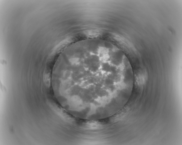 X0000091350666200708101531