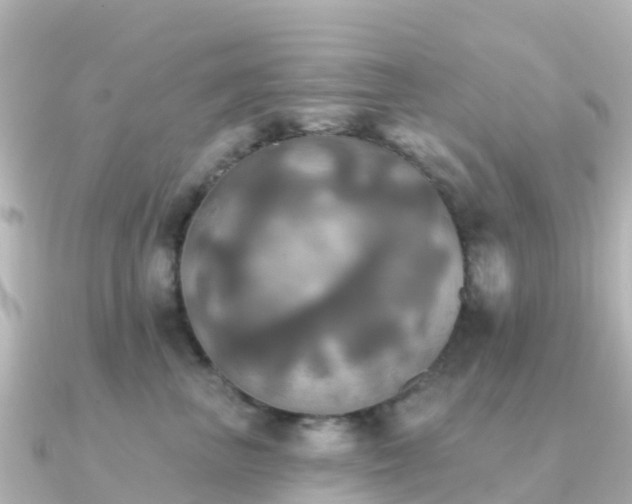 X0000091350667200708101531