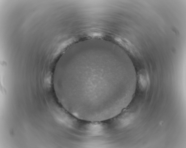 X0000091350668200708101531