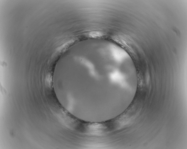 X0000091350669200708101531