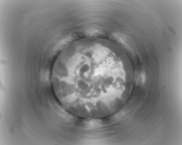 X0000091350670200708101531