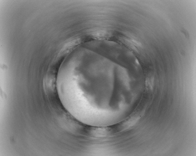 X0000091350671200708101531