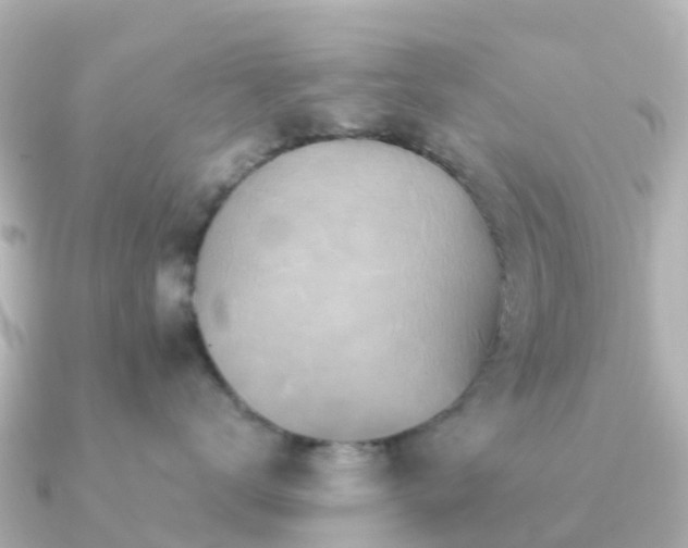 X0000091350672200708101531
