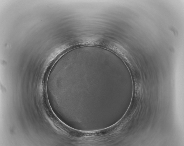 X0000091350674200708101531