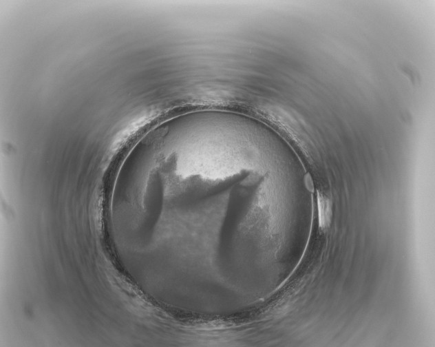 X0000091350675200708101531