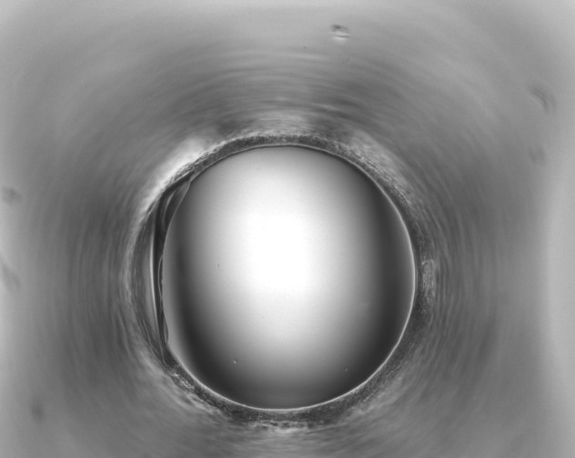 X0000091350676200708101531