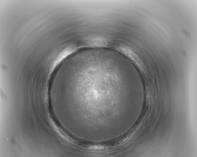 X0000091350677200708101530