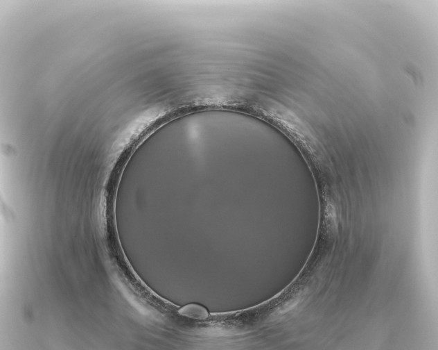 X0000091350678200708101530
