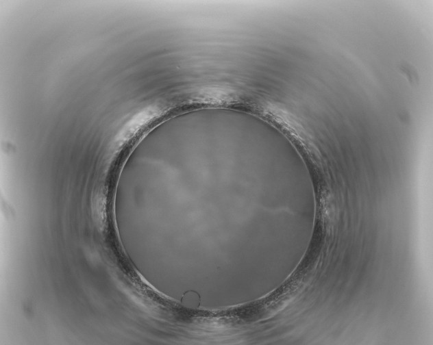 X0000091350679200708101530