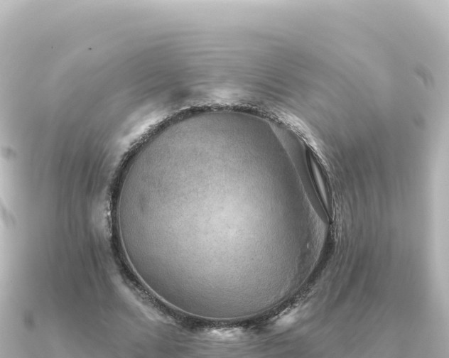 X0000091350680200708101530