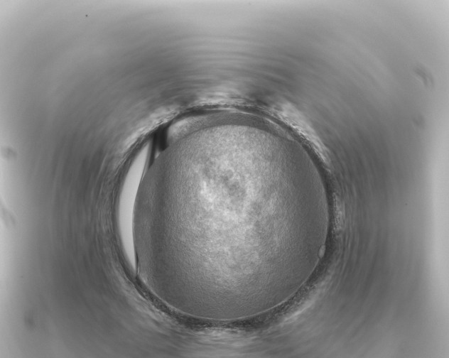 X0000091350681200708101530