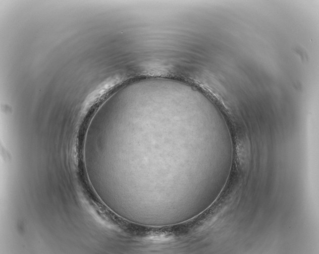 X0000091350682200708101530