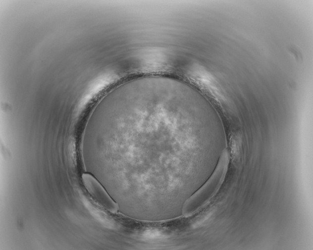 X0000091350684200708101530