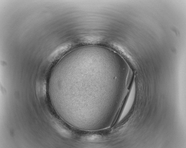 X0000091350685200708101530