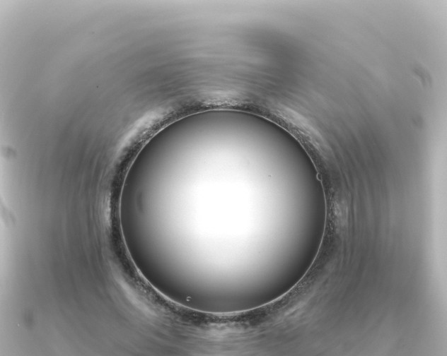 X0000091350686200708101530