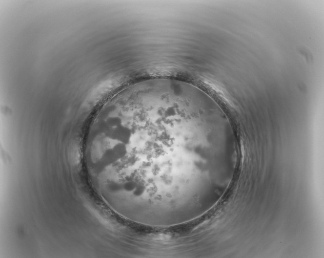 X0000091350687200708101530