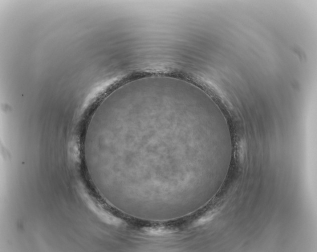 X0000091350688200708101530