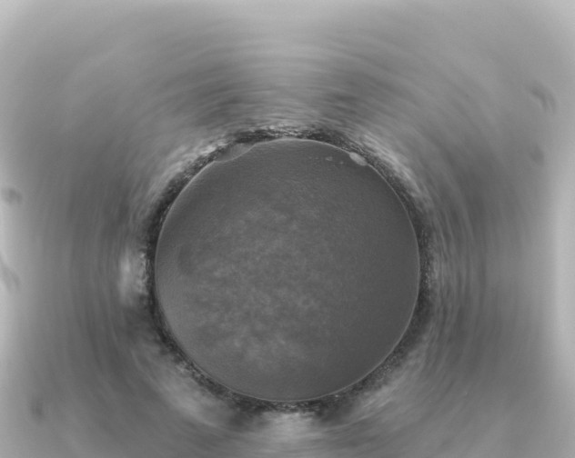 X0000091350689200708101530