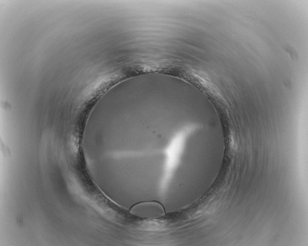 X0000091350691200708101530