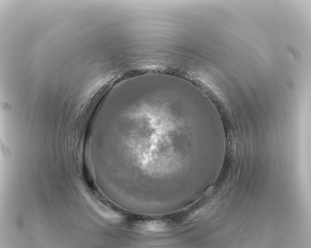 X0000091350692200708101530