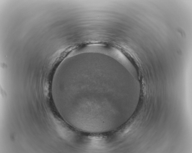 X0000091350693200708101530