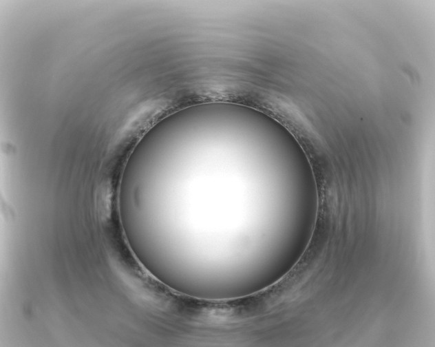 X0000091350694200708101530