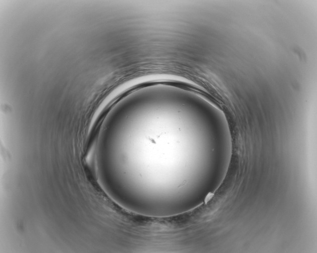 X0000091350697200708101530