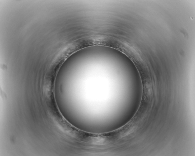 X0000091350698200708101530