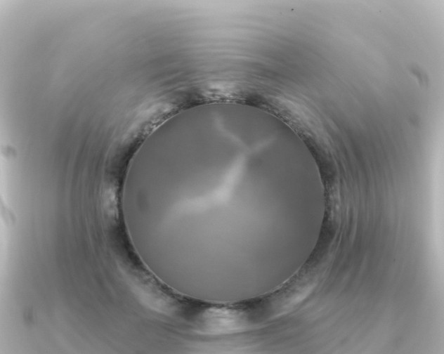 X0000091350699200708101530
