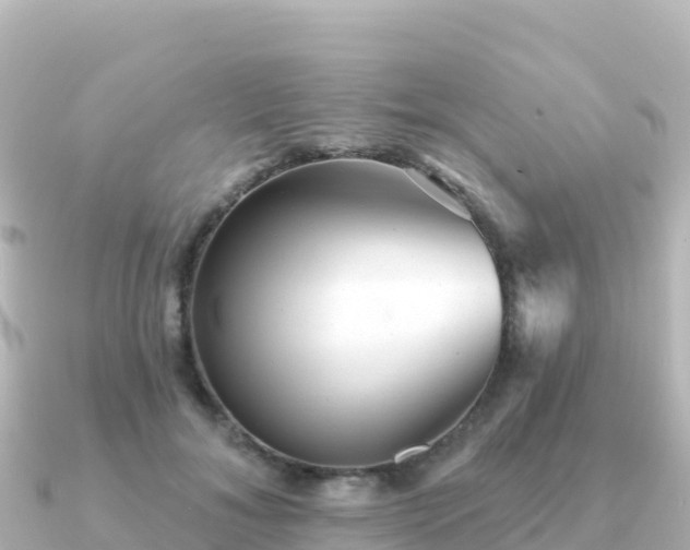X0000091350700200708101530