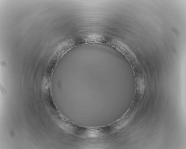 X0000091350701200708101530