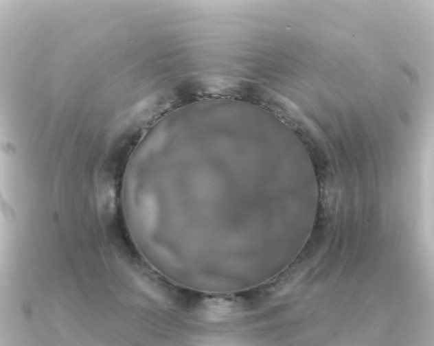 X0000091350703200708101530
