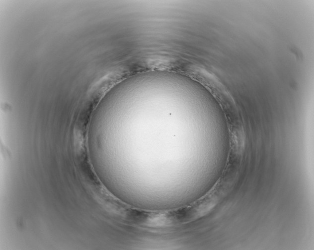 X0000091350705200708101530