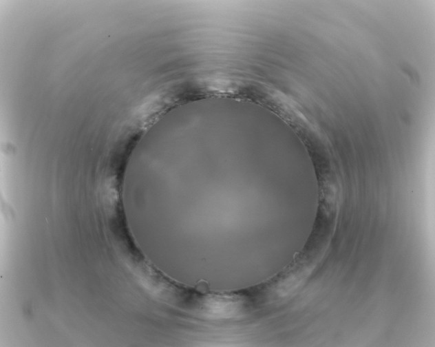 X0000091350707200708101530
