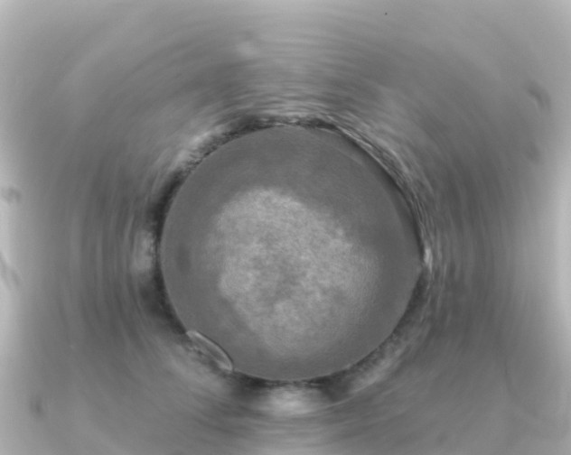 X0000091350708200708101530