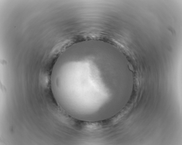 X0000091350709200708101530