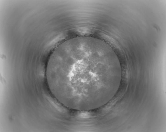 X0000091350710200708101530