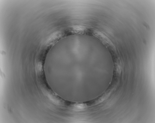 X0000091350711200708101530