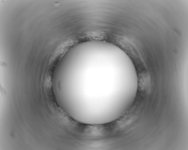 X0000091350713200708101530