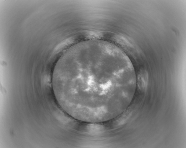 X0000091350714200708101530