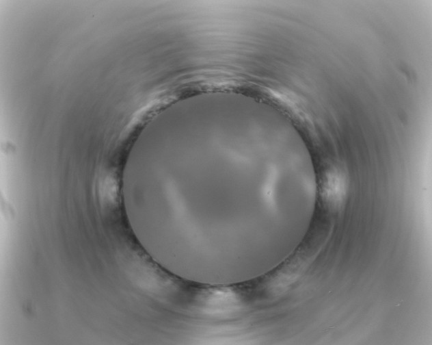 X0000091350715200708101530